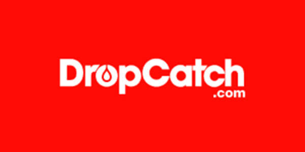 A Guide to Dropcatching: How to Secure Expired Domains