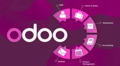 Corporate Funding and Domain Upgrade Data (November 23, 2024)