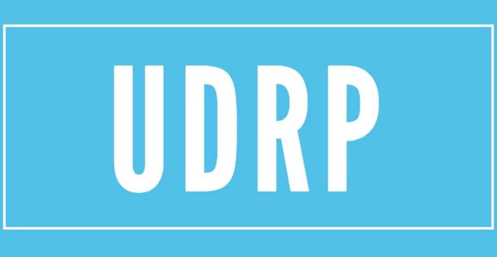 Gigalaw’s Q3/2024 Domain Dispute Digest: Slight Decline in UDRP Cases After a Decade of Growth