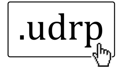 My Year-End UDRP Roundup