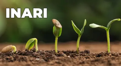 January 2025 Corporate Financing and Domain Upgrade Data - TOP Inari.com $144M