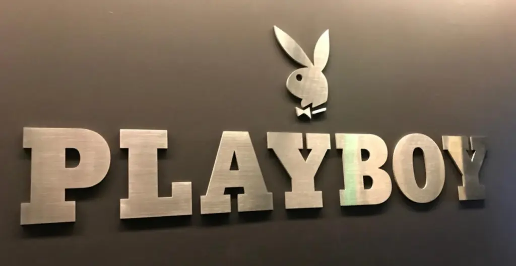 Playboy Enterprises Wins UDRP Case for Playboy.ai Domain