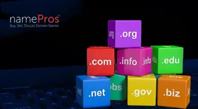 Reinvestment, Cash Reserves, Feedback Loops, Stability, and Domain Asset Allocation–or What To Do With Funds From A Sale?