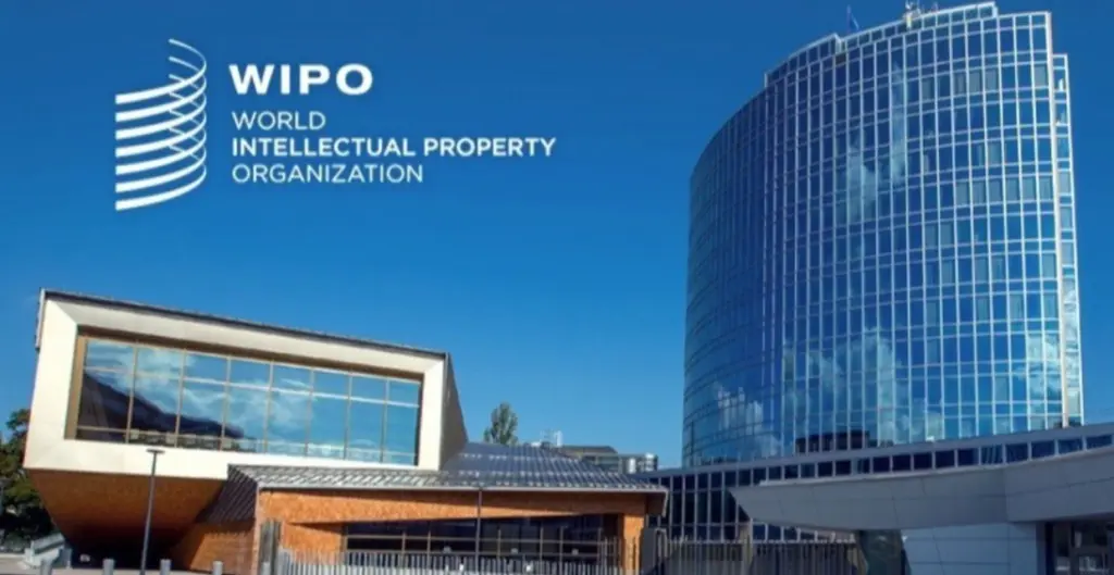 WIPO Report 2024: UDRP Cases Remain at High Levels