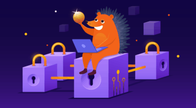 Blockchain domains and the future of web security