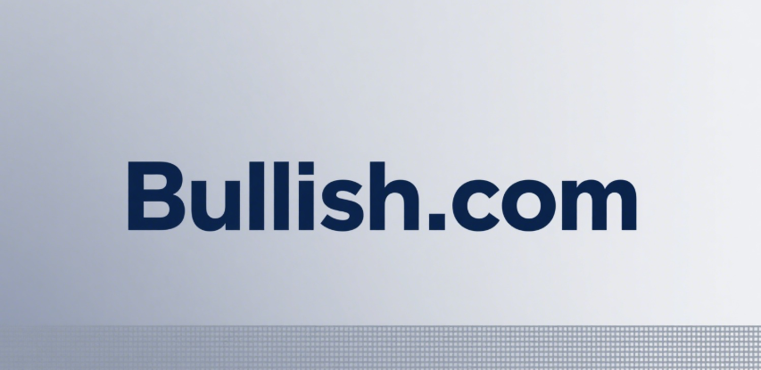 From 1.08 Million to 9.9 Billion: A Domain Name's Seven-Year Fortune Story