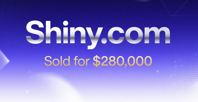 Shiny.com Sold for 0,000, Includes 26 Months of Hosting