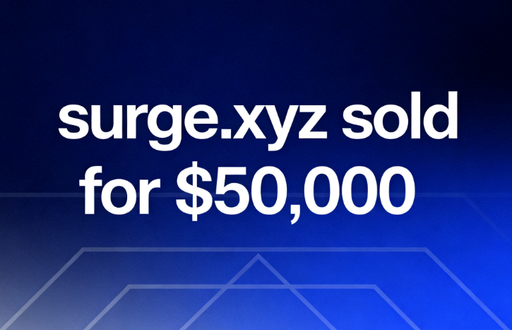 surge.xyz sold for ,000 through DomainAgents.com