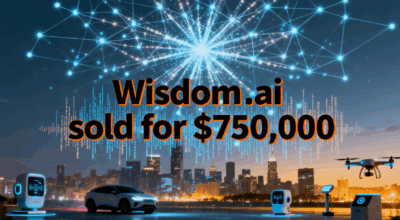 The most expensive .ai domain name ever sold: Wisdom.ai sets a record with a $750,000 sale