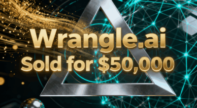 Wrangle.ai Sold for $50,000, AI Data Processing Vertical Domains Become Hot Commodities