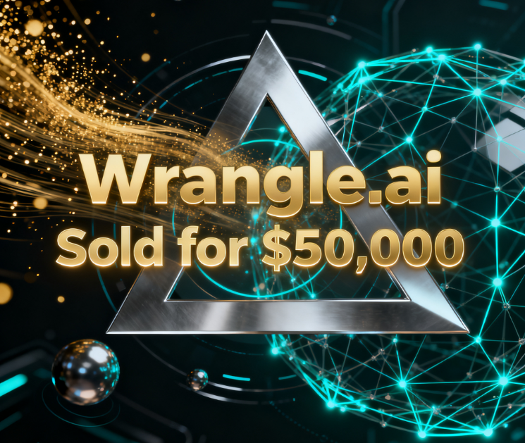 Wrangle.ai Sold for ,000, AI Data Processing Vertical Domains Become Hot Commodities