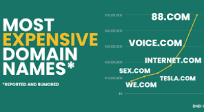 Short Domains, Big Impact, Why Usability Beats Tradition