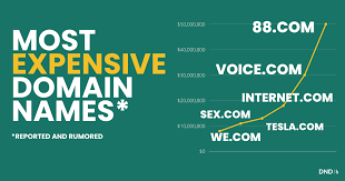 Short Domains, Big Impact, Why Usability Beats Tradition