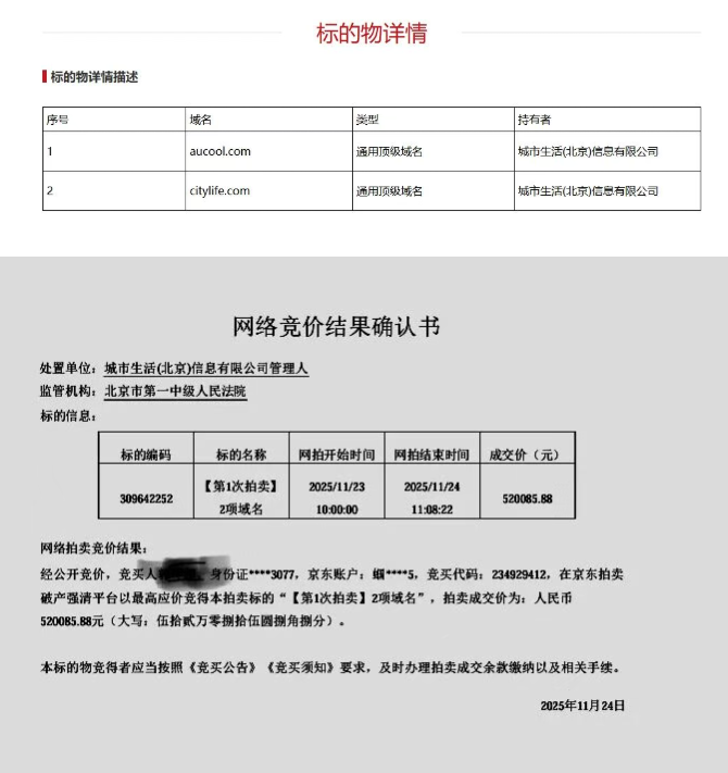 Starting at 2426 RMB, two domain names sold for 520,000 RMB! A dramatic value reversal at JD.com auction