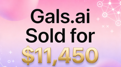 Gals.ai Sold for $11,450: The Rise of Female-Oriented AI Domains