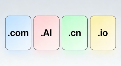 Domain Name Value Assessment Criteria: What Kind of Domains Have Long-Term Appreciation Potential?
