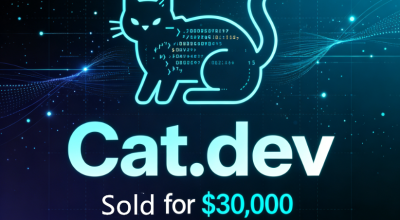 Cat.dev Sells for $30,000: The "Animal Instinct" of the Domain Market