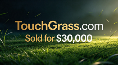 TouchGrass.com Sells for $30,000: The Internet Cultural Symbol Behind the Domain